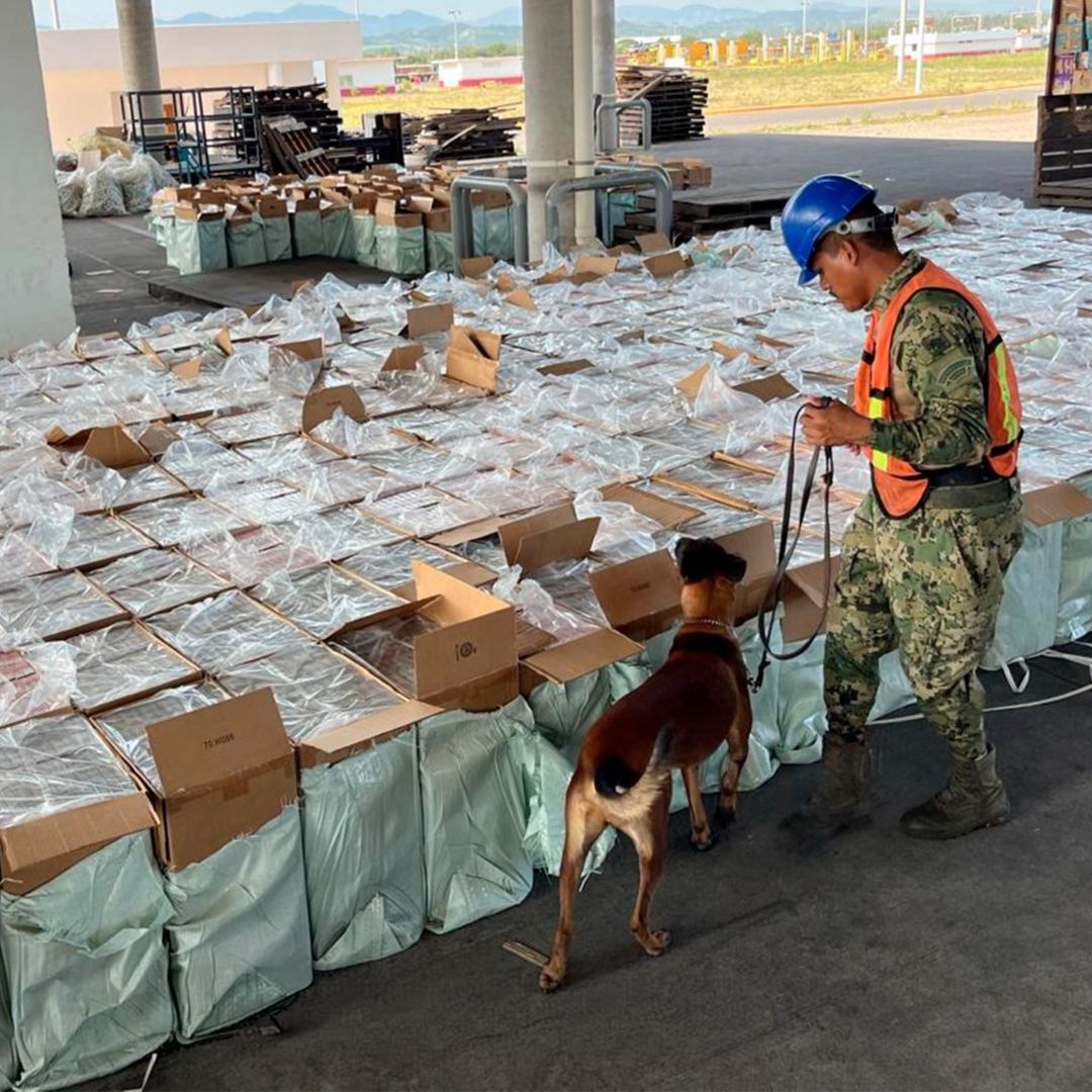 La operación fue identificada mediante mecanismos institucionales de análisis de riesgo. Foto: Gobierno de México